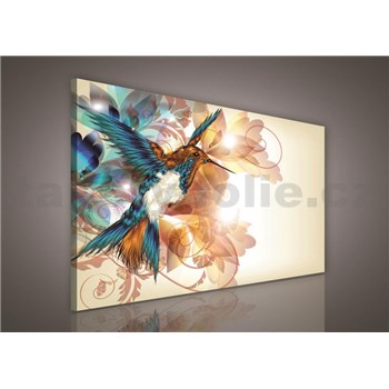 Obraz na stenu kolibrík 100 x 75 cm
