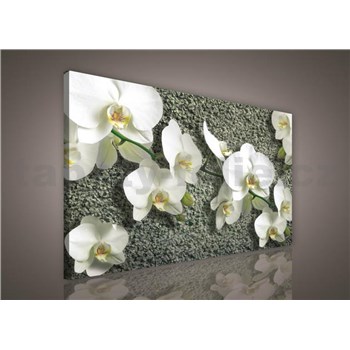 Obraz na stenu biela orchidea na kameni 75 x 100 cm