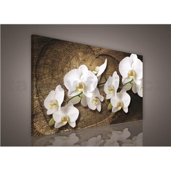 Obraz na stenu biela orchidea na drevenom srdci 75 x 100 cm