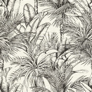 Vliesové tapety na stenu IMPOL čiernobiele listy palmy a banánovníku