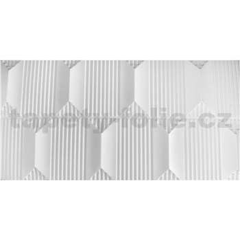 Obkladové panely 3D XPS geometrický vzor biely rozmer 100 x 50 cm - POSLEDNÉ KUSY