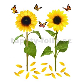 Samolepky na stenu slnečnica s motýľmi 82 cm x 105 cm