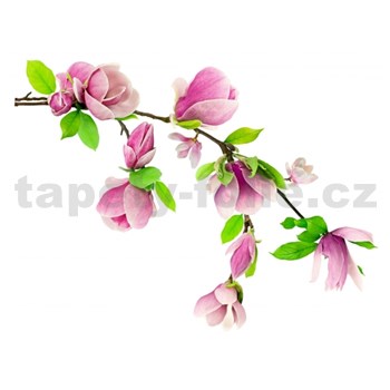 Samolepky na stenu kvety na vetvi ružové 87 cm x 110 cm