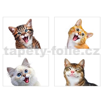 Samolepky na stenu selfie mačky rozmer 45 x 65 cm