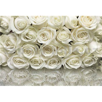 Fototapety biele ruže, rozmer 368 x 254 cm