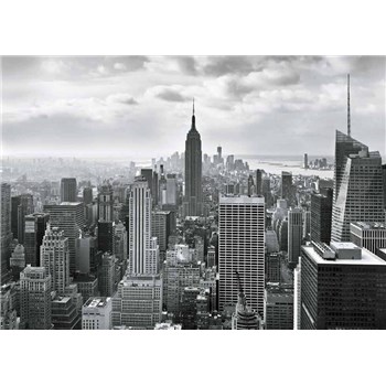 Fototapety New York Black and White, rozmer 368 x 254 cm