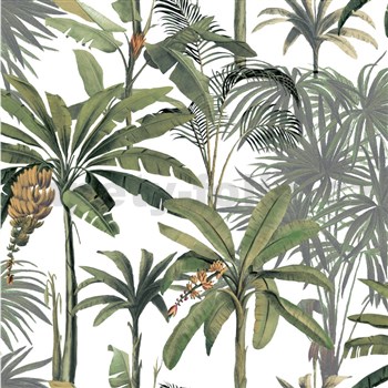 Vliesové tapety na stenu tropické rastliny
