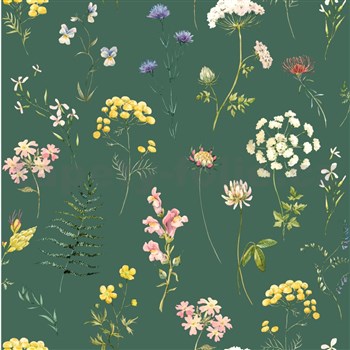 Vliesové tapety na stenu lúčne kvety na zelenom podklade
