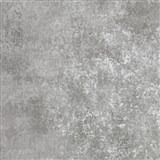 Vliesové tapety na stenu IMPOL omietkovina uni sivá