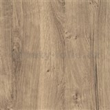 Samolepiace tapeta dub ribbeck - 90 cm x 15 m - 2. akosť