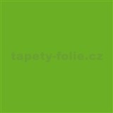 Samolepiace tapety d-c-fix - transparentná priesvitná svetlo zelená 45 cm x 15 m - POSLEDNÉ ME