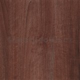 Samolepiace tapety d-c-fix - orech svetlo hnedý 67,5 cm x 15 m