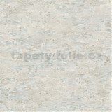 Vliesové tapety na stenu IMPOL Focus moderní stierka krémovo-sivá