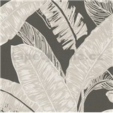 Vliesové tapety na stenu Felicita listy svetlo hnedé na tmavo hnedom podklade - POSLEDNÉ KUSY