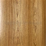 Samolepiace tapety dub prírodný svetlý - 90 cm x 15 m