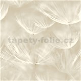 Vliesové tapety na stenu IMPOL púpavy krémovo biele