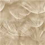 Vliesové tapety na stenu IMPOL púpavy béžové