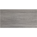 Samolepiace PVC 3D panely jasen sivý rozmer 60 x 30 cm