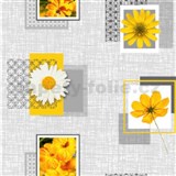 Obrus metráž kopretiny na sivom podklade