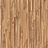 Samolepiace tapety - Rufa bambus 90 cm x 15 m - POSLEDNÉ METRE