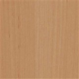 Samolepiace tapety - hruškové drevo svetlé - 67, 5 cm x 15 m