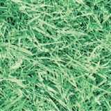 Samolepiace tapety zelená tráva 45 cm x 15 m