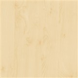 Samolepiace tapety na dvere d-c-fix - breza 90 cm x 2,1 m (cena za kus)