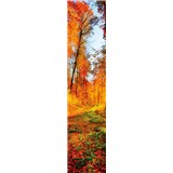Samolepiace dekoračné pásy les na jeseň rozmer 60 cm x 260 cm - POSLEDNÉ KUSY