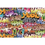 Vliesové fototapety graffiti rozmer 375 cm x 250 cm