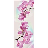 Vliesové fototapety orchidea, rozmer 91 x 211 cm