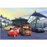 Fototapety Disney Cars 3 Mc Queen a Burák stanovisko rozmer 368 cm x 254 cm - POSLEDNÝ KUS