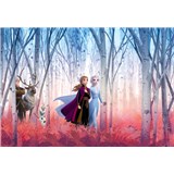 Fototapety Disney Frozen II priatelia navždy rozmer 368 cm x 254 cm