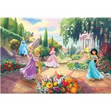 Fototapety Disney Princess park rozmer 368 cm x 254 cm - POSLEDNÝ KUS