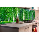 Samolepiace tapety za kuchynskú linku brezový les rozmer 180 cm x 60 cm
