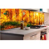 Samolepiace tapety za kuchynskú linku slnečný les rozmer 180 cm x 60 cm