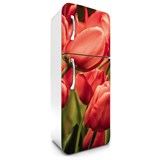 Samolepiace tapety na chladničku tulipány rozmer 180 cm x 65 cm