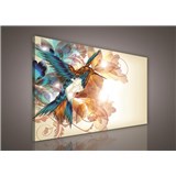 Obraz na stenu kolibrík 100 x 75 cm