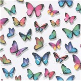 Papierové tapety na stenu IMPOL Papillon motýle farebné