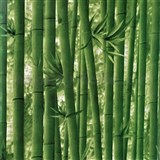 Samolepiace tapety bambus zelený 45 cm x 10 m