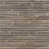 Vliesové tapety na stenu IMPOL Wanderlust bambusový obklad sivo-hnedý