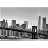 Fototapety New York, rozmer 366 x 254 cm - POSLEDNÉ KUSY