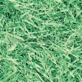 Samolepiace tapety zelená tráva 45 cm x 15 m