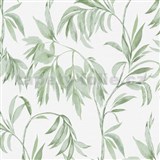 Vliesové tapety na stenu IMPOL Attractive popínavé zelené listy na bielom podklade