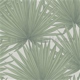 Vliesové tapety na stenu IMPOL Antigua palmové listy zelené na bielom podklade