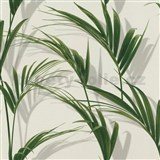 Vliesové tapety na stenu IMPOL Collection listy palmy na bielom podklade