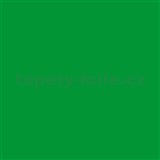 Samolepiace tapety d-c-fix - zelená 45 cm x 15 m