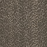 Samolepiaca tapeta Asia leopard  - 45 cm x 2 m (cena za kus)