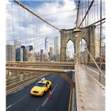 Vliesové fototapety New York rozmer 225 cm x 250 cm