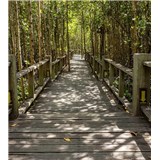 Vliesové fototapety mangrovový les rozmer 225 cm x 250 cm