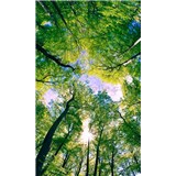 Vliesové fototapety stromy rozmer 150 cm x 250 cm